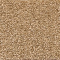 Ковролин AW Sensualite Sentiment (Сентимент) 54 .