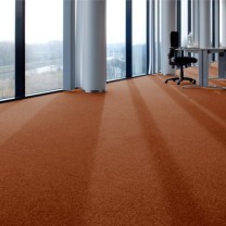 Ковролин ITC Evolve (Ивольв) 065 .