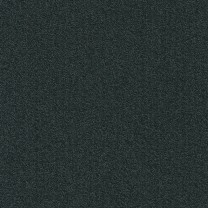 Ковровая плитка Modulyss (Модулус) Millennium Nxtgen (Милленниум Некстген) 573 .