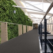 Ковролин ITC E-Weave (И-Вейв) 098 .