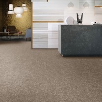 Ковролин Condor Detroit (Детройт) Desert (Десерт) .