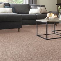 Ковролин ITC Vensent (Венсент) 31 .