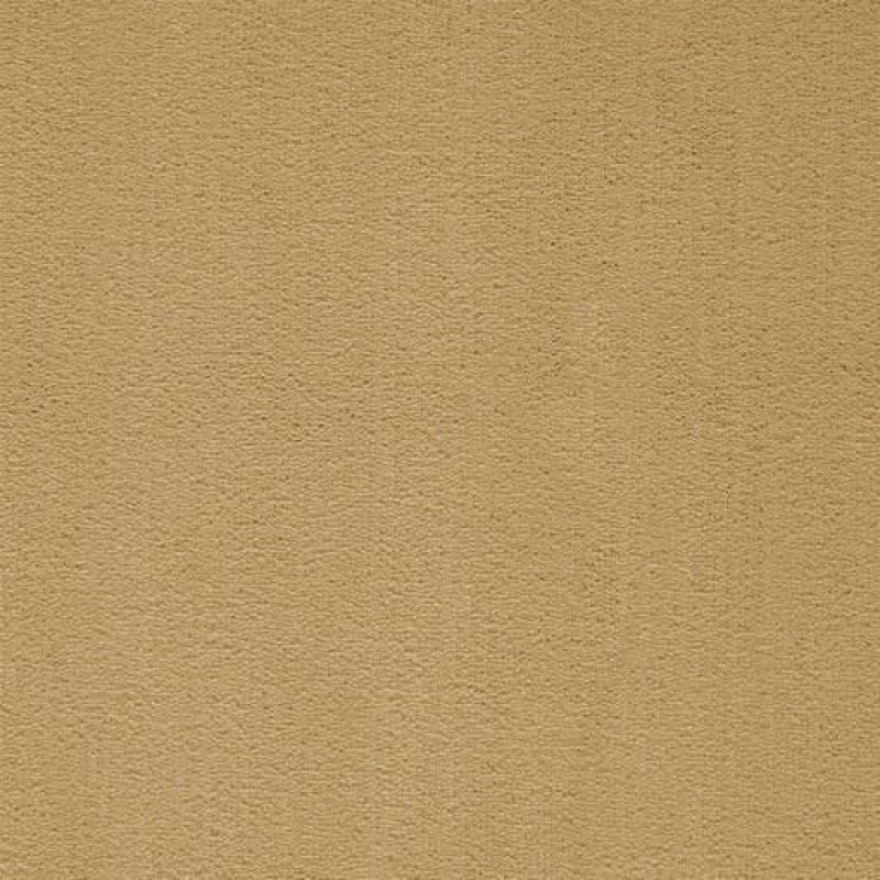 Ковролин ITC President (Президент) 037 Бежевый.