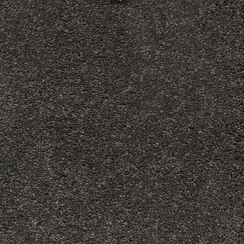 Ковролин AW Vivendi Punch (Панч) 95 Чёрный.