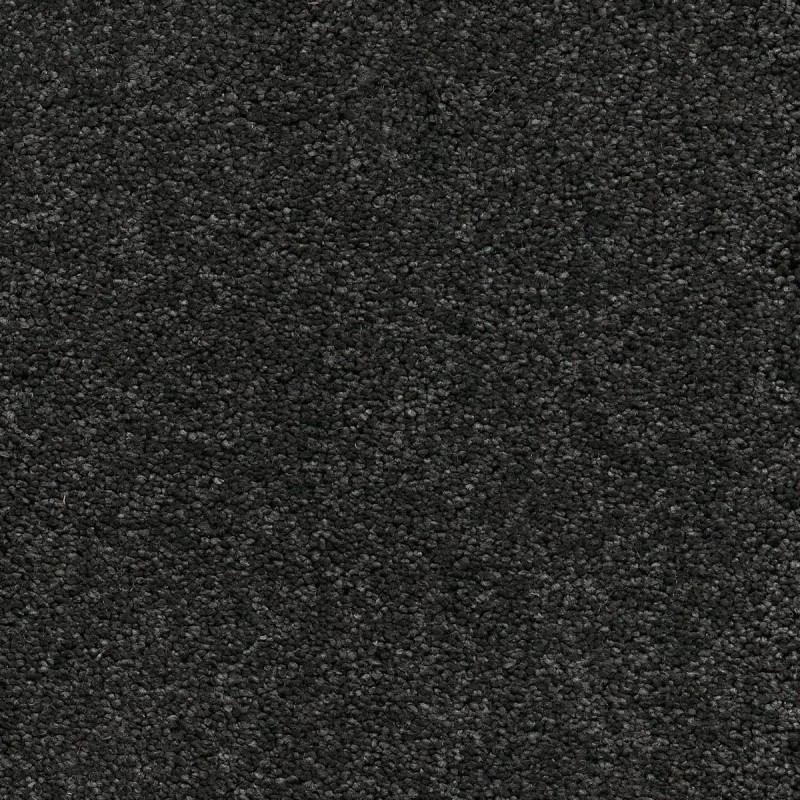 Ковролин AW Vivendi Punch (Панч) 98 Чёрный.