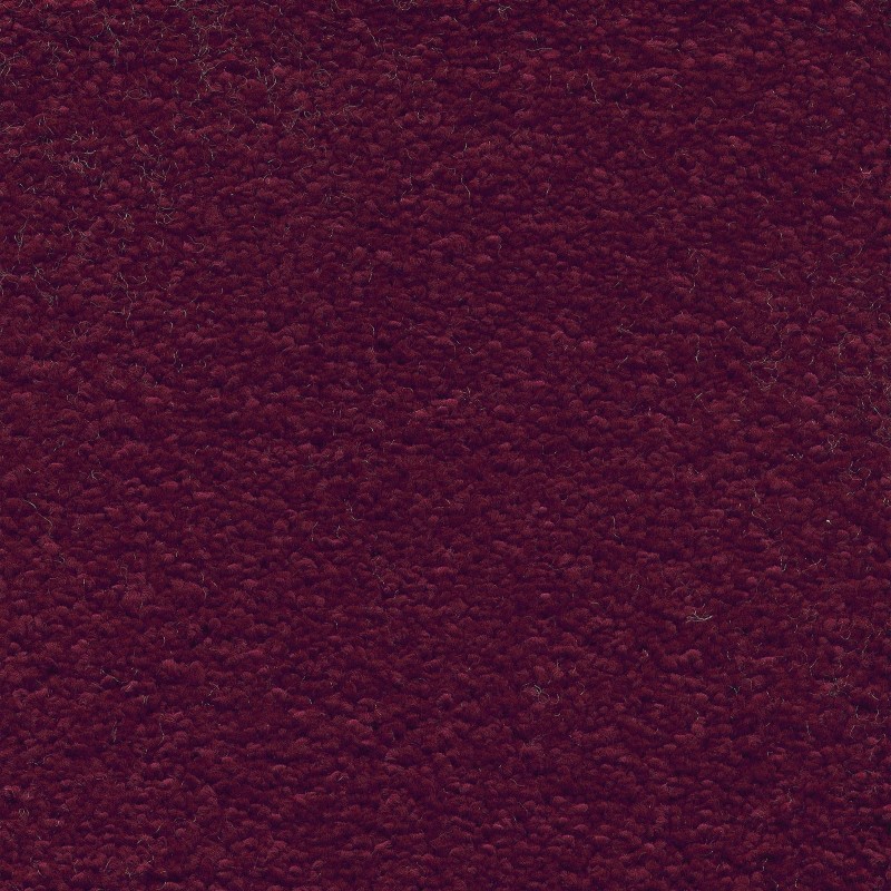 Ковролин AW Invictus Scorpius (Скорпиус) 10 Фиолетовый.