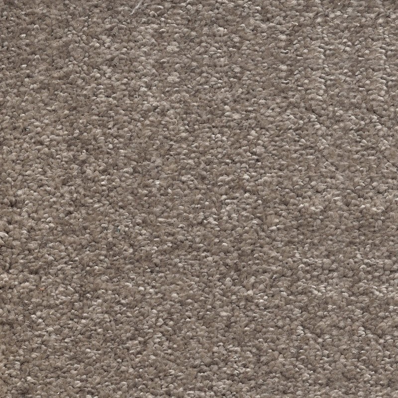 Ковролин AW Invictus Scorpius (Скорпиус) 37 Коричневый.