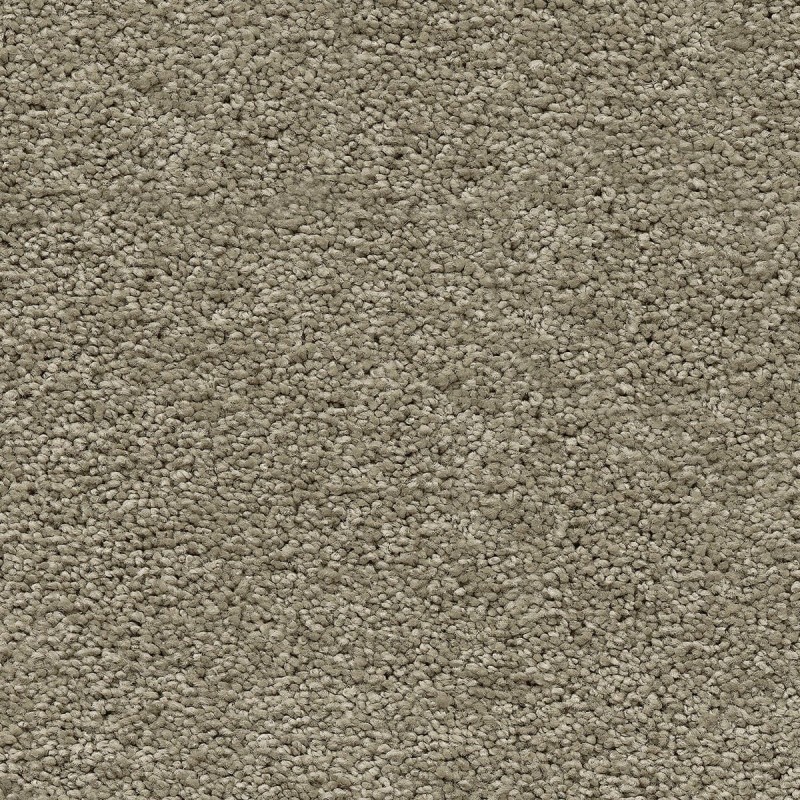 Ковролин AW Vivendi Vigour (Виго) 29 Серый.