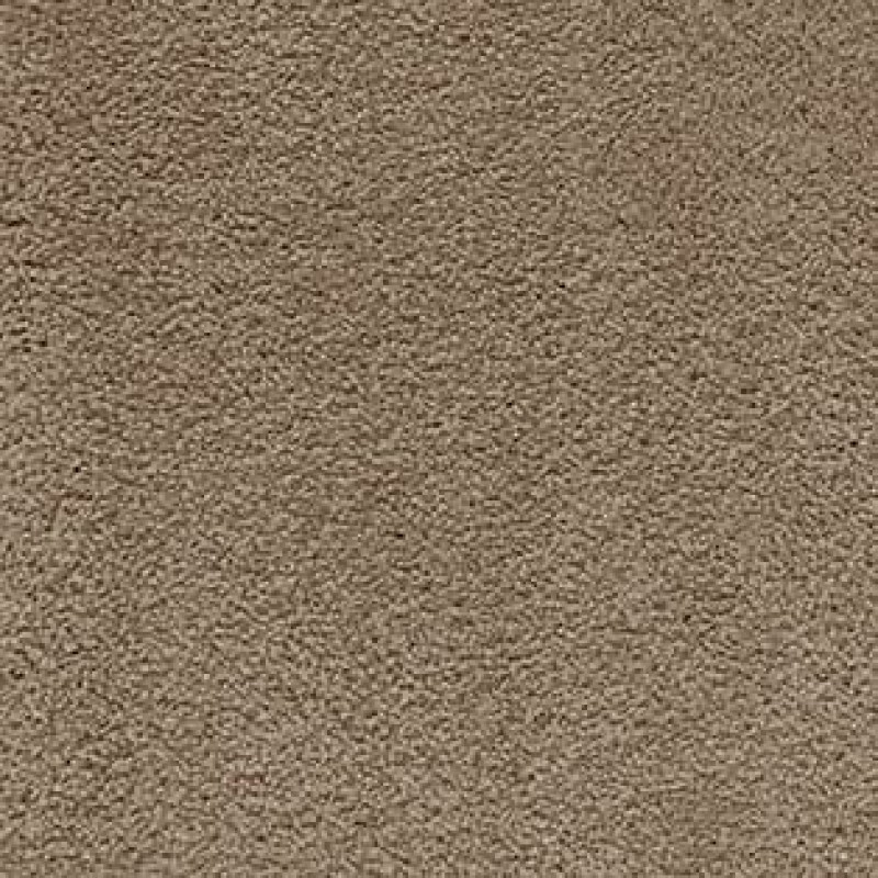 Ковролин AW Sensualite Softissimo (Софтиссимо) 49 Бежевый.