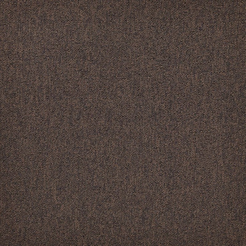 Ковровая плитка Modulyss (Модулус) First Forward (Фёст Форвард) 804 .