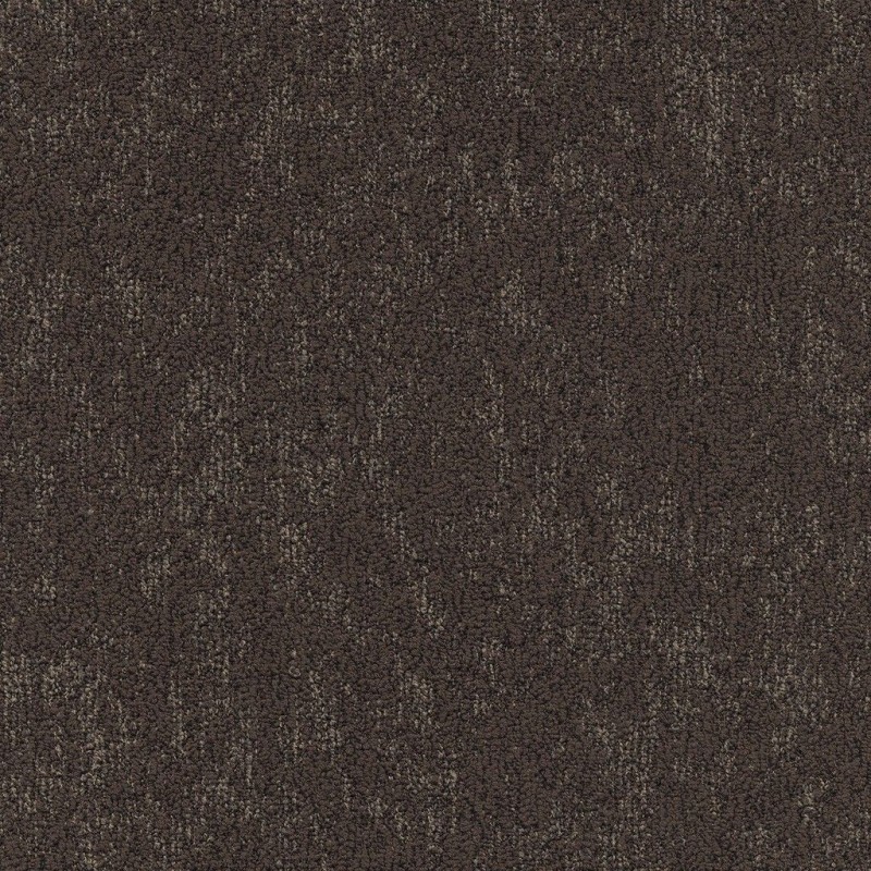 Ковровая плитка Modulyss (Модулус) Moss (Мосс) 810 .